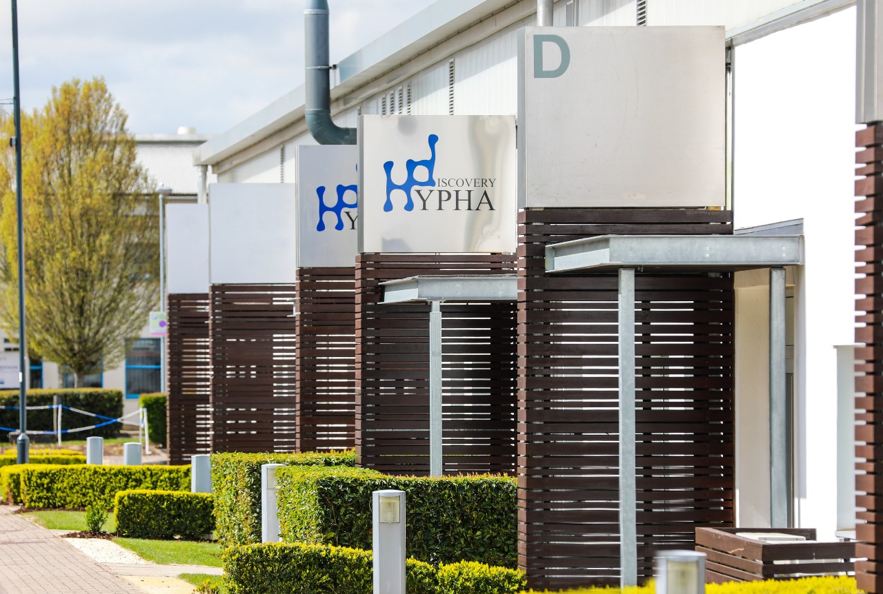 Hypha Offices