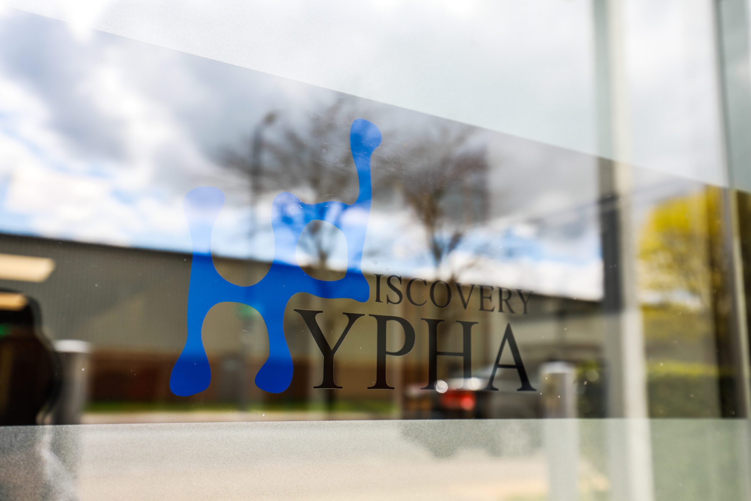 Hypha Logo on window