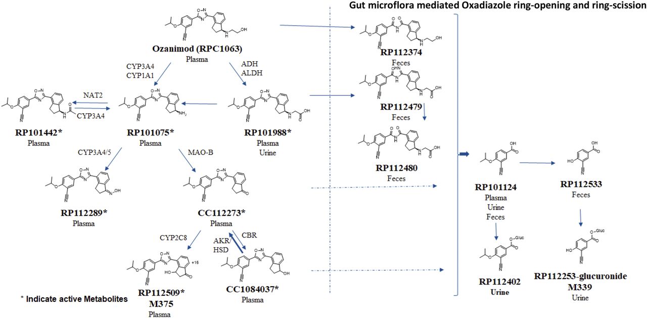 ozanimod metabolism case study image