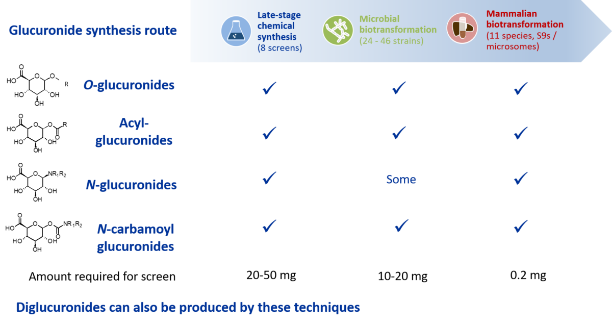 Glucuronide synthesis methods infographic