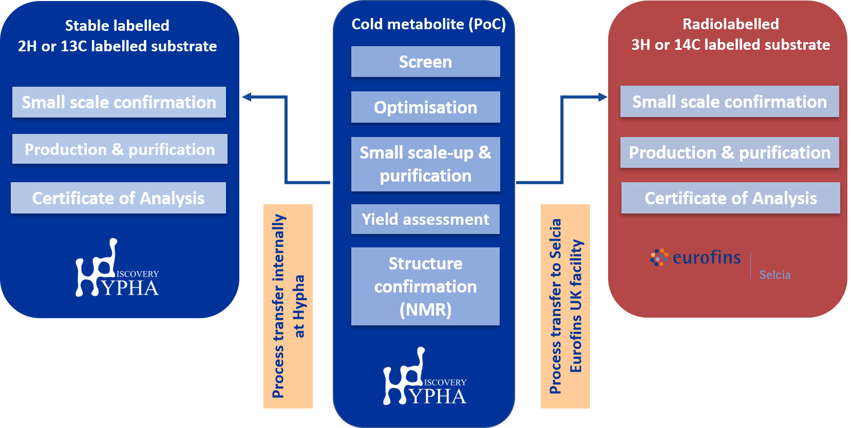 labelled metabolites process infographic