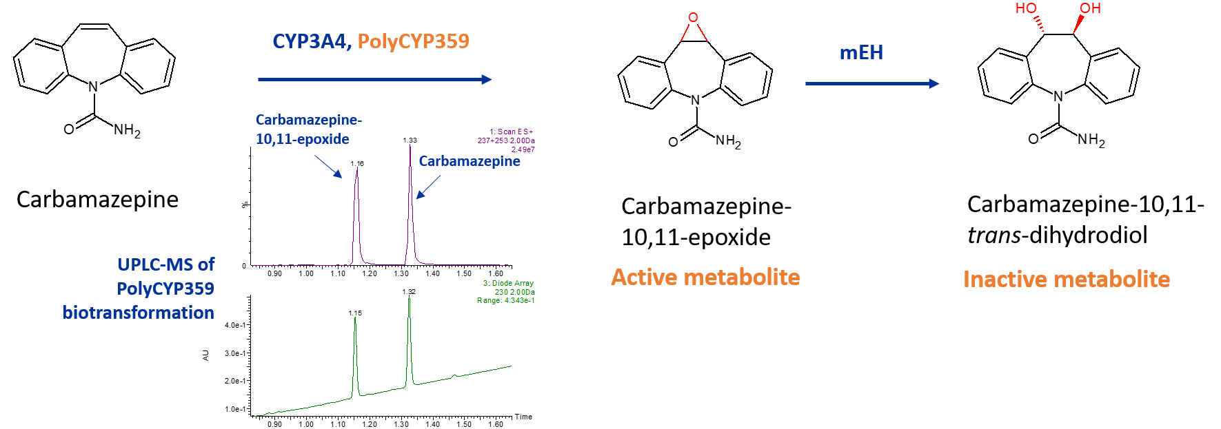 Dihydrodiol and epoxide metabolites of carbamazepine