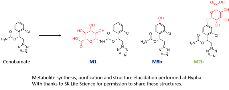 Metabolites of the drug cenobamate made by Hypha Discovery