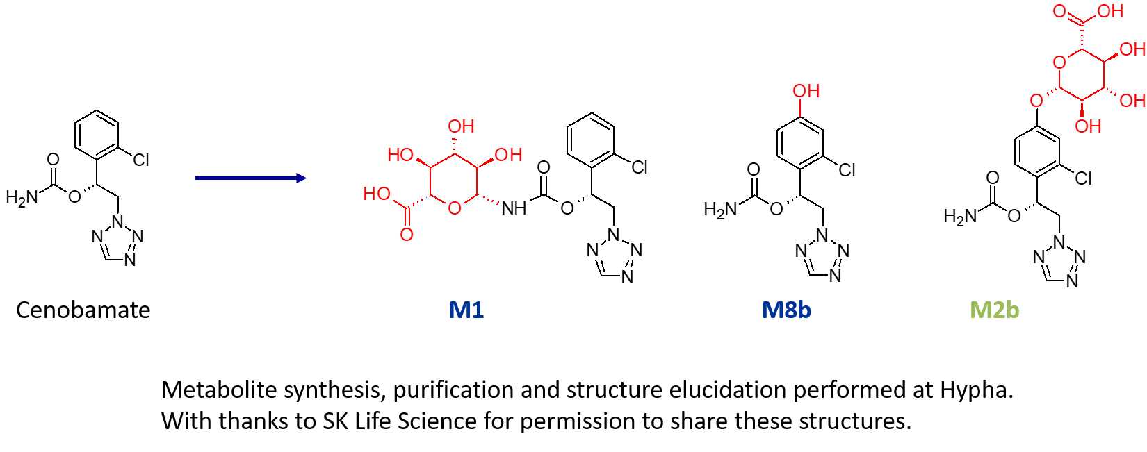 Metabolites of the drug cenobamate made by Hypha Discovery