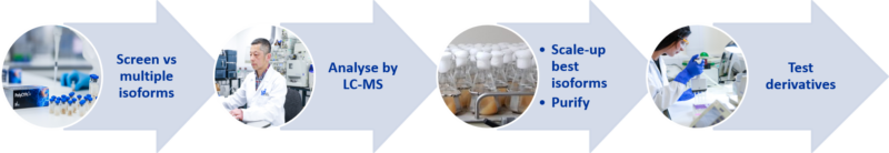 PolarExplorer process for late-stage oxidised derivatives