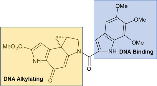 Orphan CYP blog Figure 2 - Duocarmycin SA