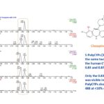 Synthesis of clozapine GSH conjugates using PolyCYPs