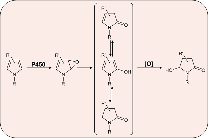 Frontiers | New Imidazole-Based N-Phenylbenzamide Derivatives as Potential  Anticancer Agents: Key Computational Insights