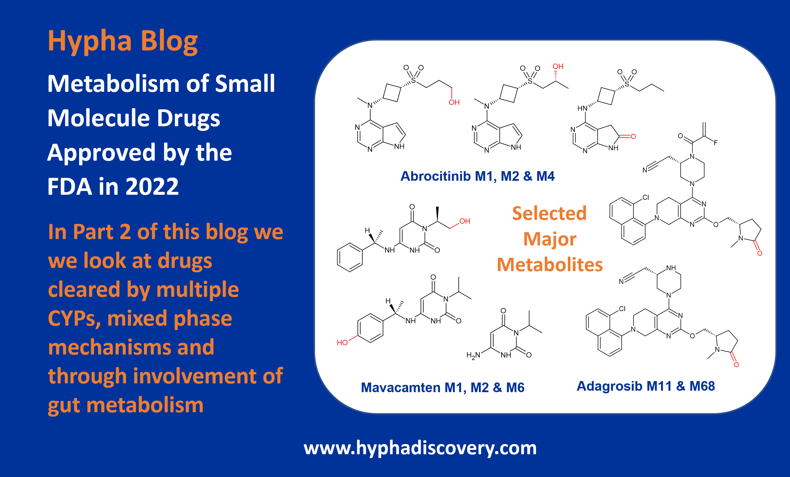 Metabolism of Small Molecules Approved by the FDA in 2022 PART 2