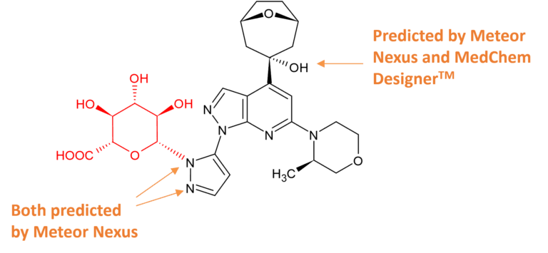 Structure of camonsertib