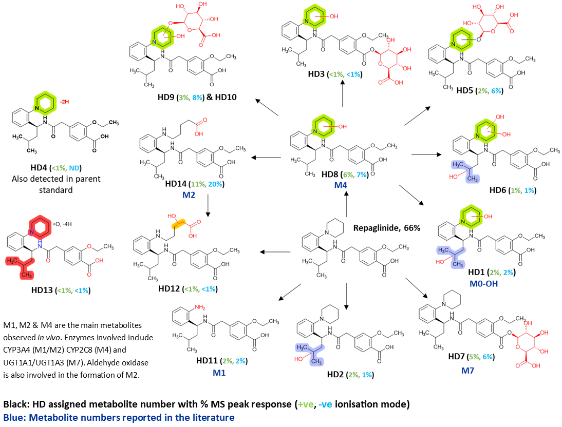 Metabolism map of repaglinide in human hepatocytes