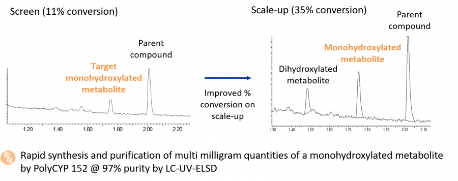 Rapid OH metabolite PC scale-up case study